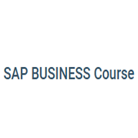 Sap Business Course