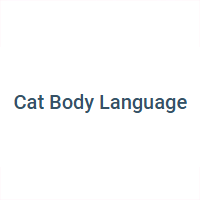 Cat Body coupons