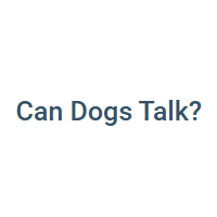 Can Dogs Talk