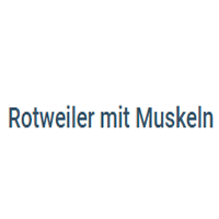 Rotweiler Mit Muskeln