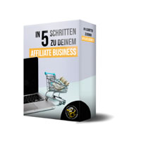 5 Schritte Plan Videokurs