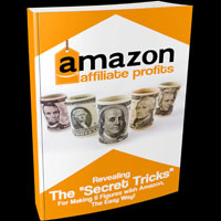 Amazon Affiliates Profits