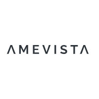 Amevista IT