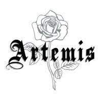 Artemis Accessories UK coupon codes