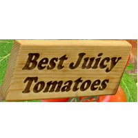 Best Juicy Tomatoes
