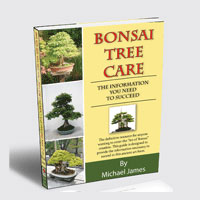Bonsai Trees discount codes
