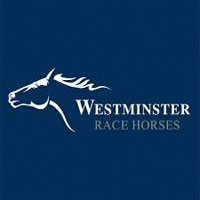 Breed A wInning Race horse voucher codes