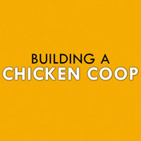 Building a Chicken Coop