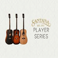 DanGuitar SE promotion codes