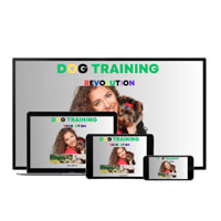 Dog Training Revolution