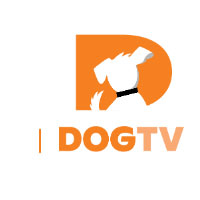 DOGTV discount codes