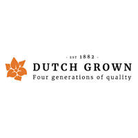 Dutch Grown