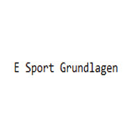 E Sport Grundlagen