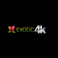 Exotic4K
