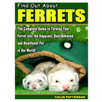 Find Out About Ferrets promo codes