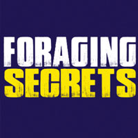 FORAGING SECRETS