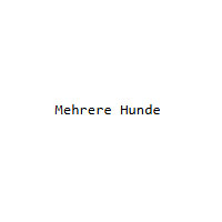 Mehrere Hunde