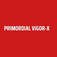 Primordial Vigor X