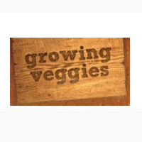 Growing Veggies