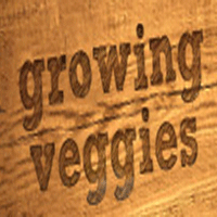 Growing Veggies