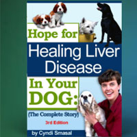 Hope For Healing Liver Disease