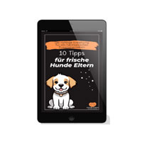 10 Tipps für frische Hunde Eltern