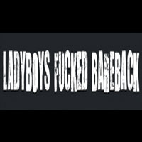 Ladyboys Fucked Bare Back