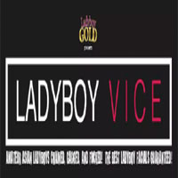 Ladyboy Vice