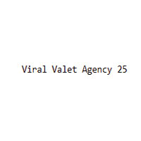 Viral Valet Agency 25