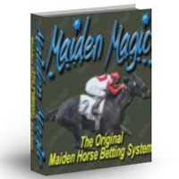 Horse Betting System