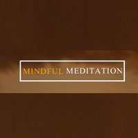 Mindful Meditation promotion codes