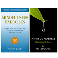 Mindfulness Meditation Books