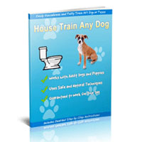 House Train Any Dog