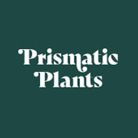 Prismatic Plants discount codes