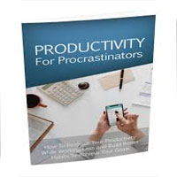 Productivity for Procrastinators promotion codes