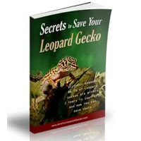 Save Your Leopard Gecko