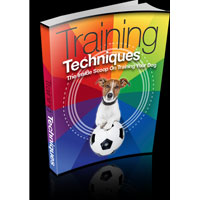 Training Techniques discount codes