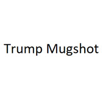 Trump Mugshot