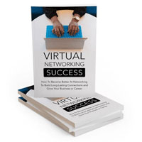 Virtual Networking Success Global