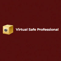 Virtual Safe Business Professional