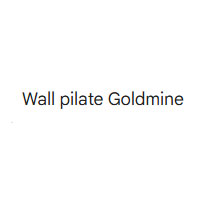 Wall pilate Goldmine