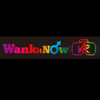 Wank It Now VR