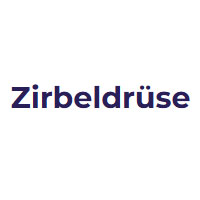 Zirbeldruese voucher codes